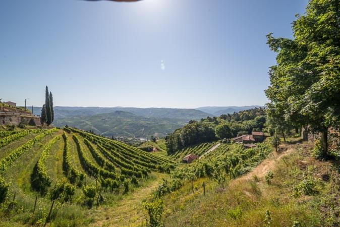 Quinta De Santa Julia Villa เปโซดาเรกวา ภายนอก รูปภาพ