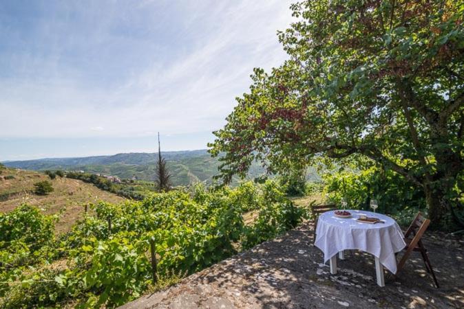 Quinta De Santa Julia Villa เปโซดาเรกวา ภายนอก รูปภาพ